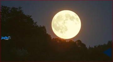 أول بدر 2025.. بدر عملاق يشق سماء المملكة الثلاثاء المقبل بألوان مذهلة